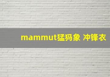 mammut猛犸象 冲锋衣